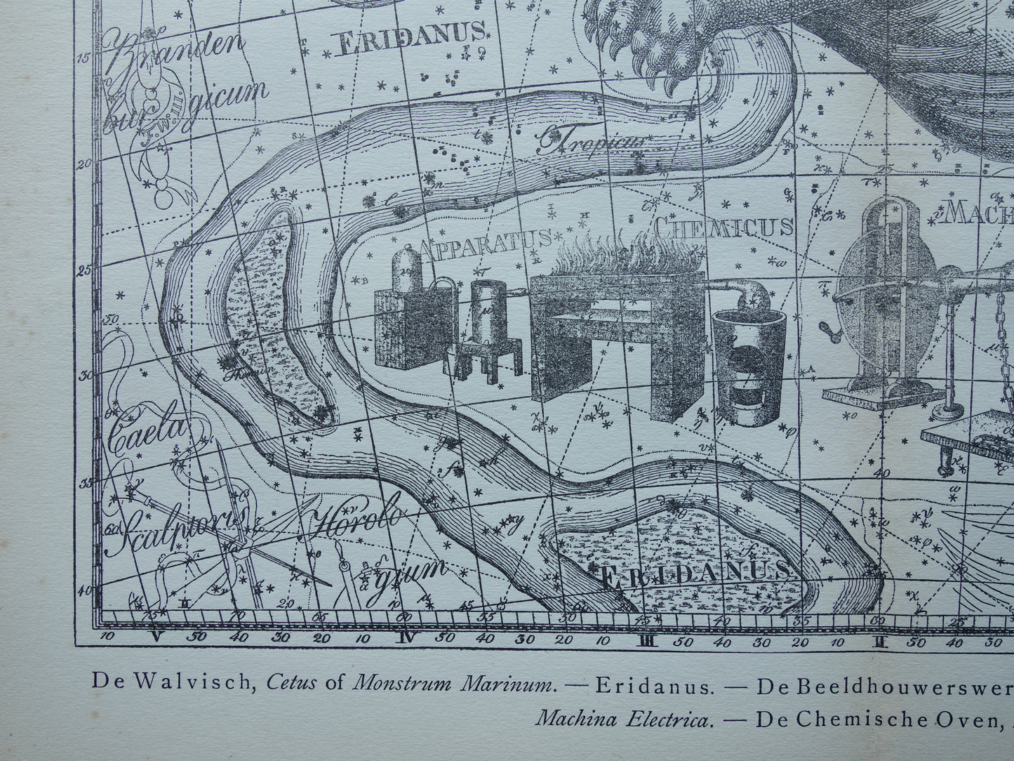 Oude astronomie prent van sterrenbeeld Eridanus Cetus Walvis Antieke sterrenkaart Monstrum Marinum sterrenbeelden vintage print