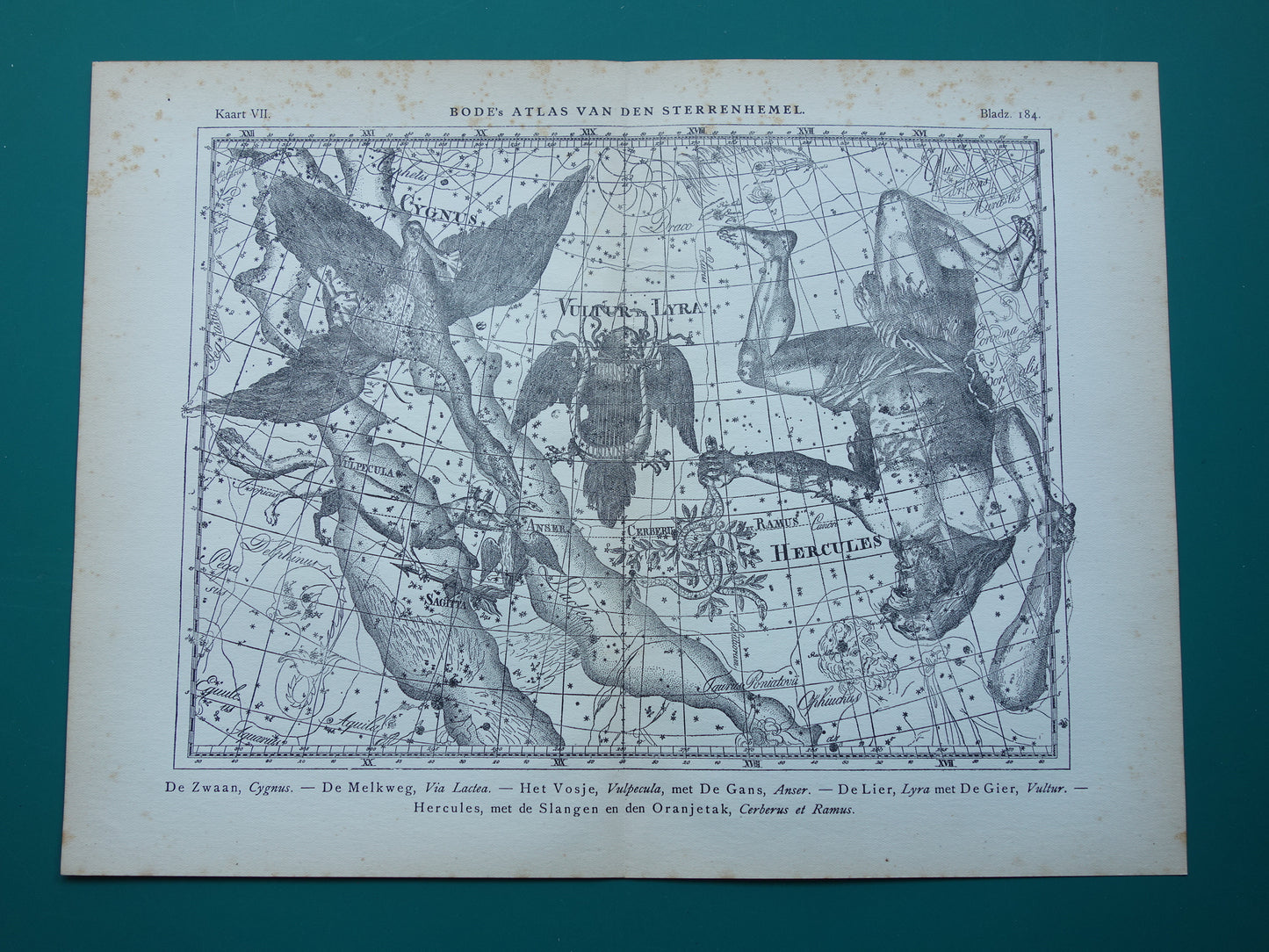 Oude astronomie prent van sterrenbeelden Hercules Cygnus en Vultur Lyra Antieke sterrenkaart astrologie sterrenbeeld vintage print