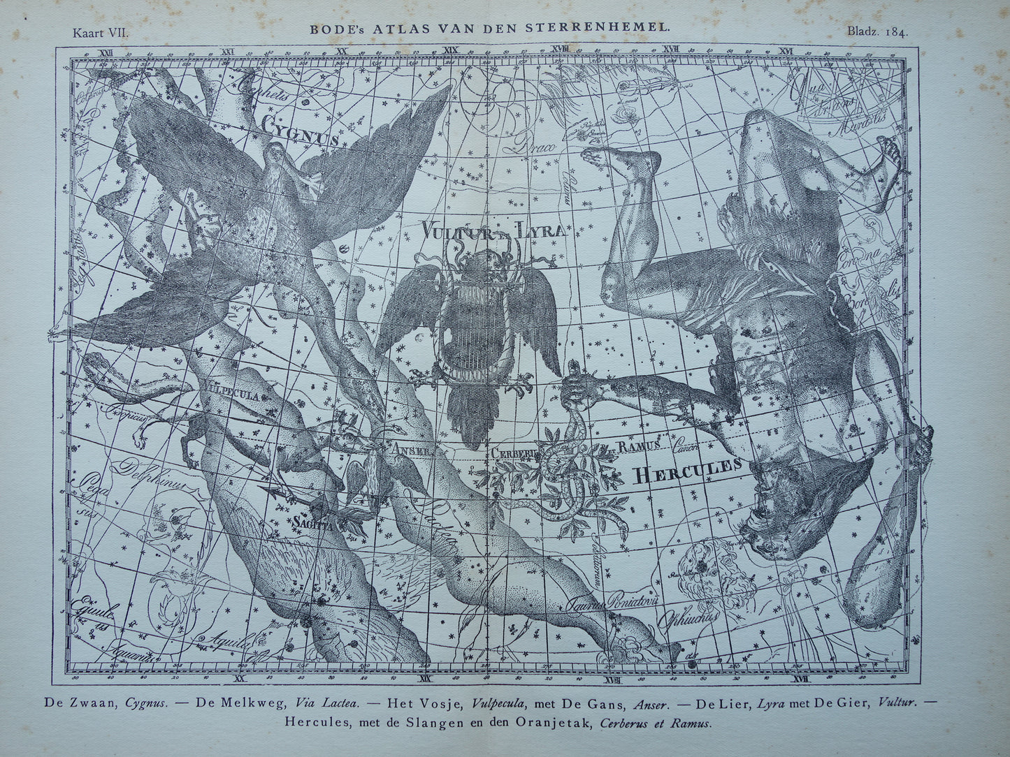 Oude astronomie prent van sterrenbeelden Hercules Cygnus en Vultur Lyra Antieke sterrenkaart astrologie sterrenbeeld vintage print