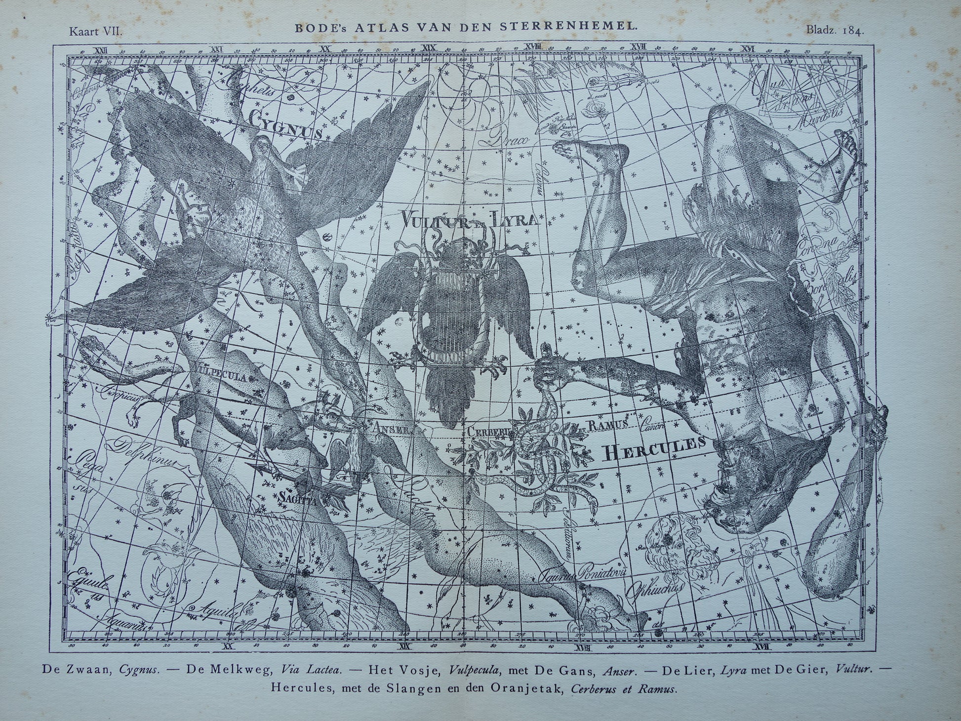 Oude astronomie prent van sterrenbeelden Hercules Cygnus en Vultur Lyra Antieke sterrenkaart astrologie sterrenbeeld vintage print