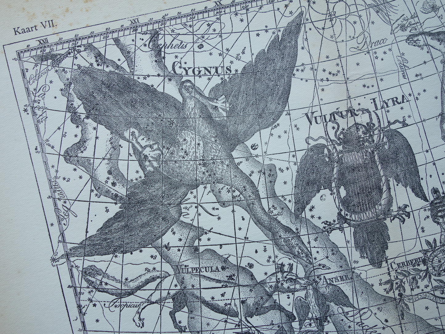 Oude astronomie prent van sterrenbeelden Hercules Cygnus en Vultur Lyra Antieke sterrenkaart astrologie sterrenbeeld vintage print