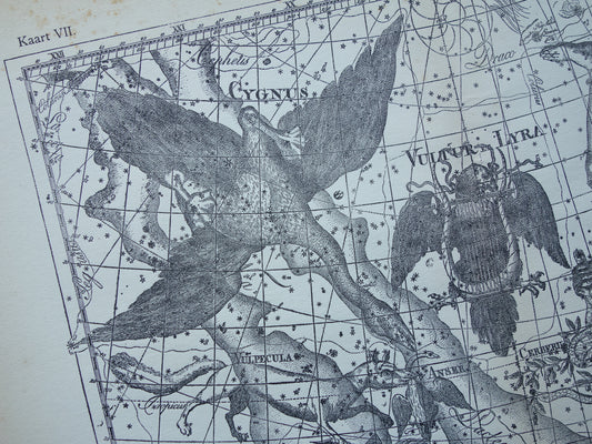Oude astronomie prent van sterrenbeelden Hercules Cygnus en Vultur Lyra Antieke sterrenkaart astrologie sterrenbeeld vintage print