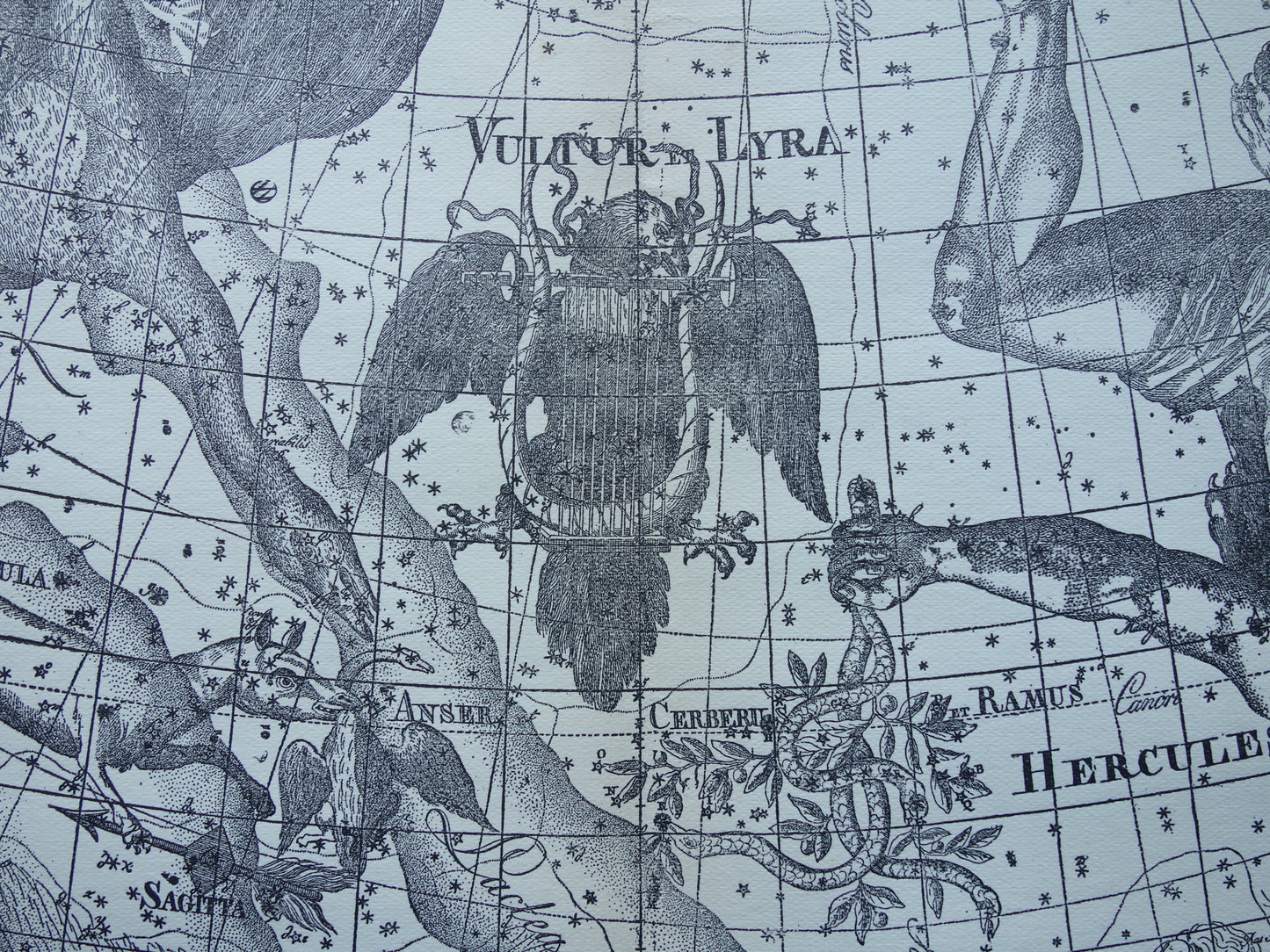 Oude astronomie prent van sterrenbeelden Hercules Cygnus en Vultur Lyra Antieke sterrenkaart astrologie sterrenbeeld vintage print