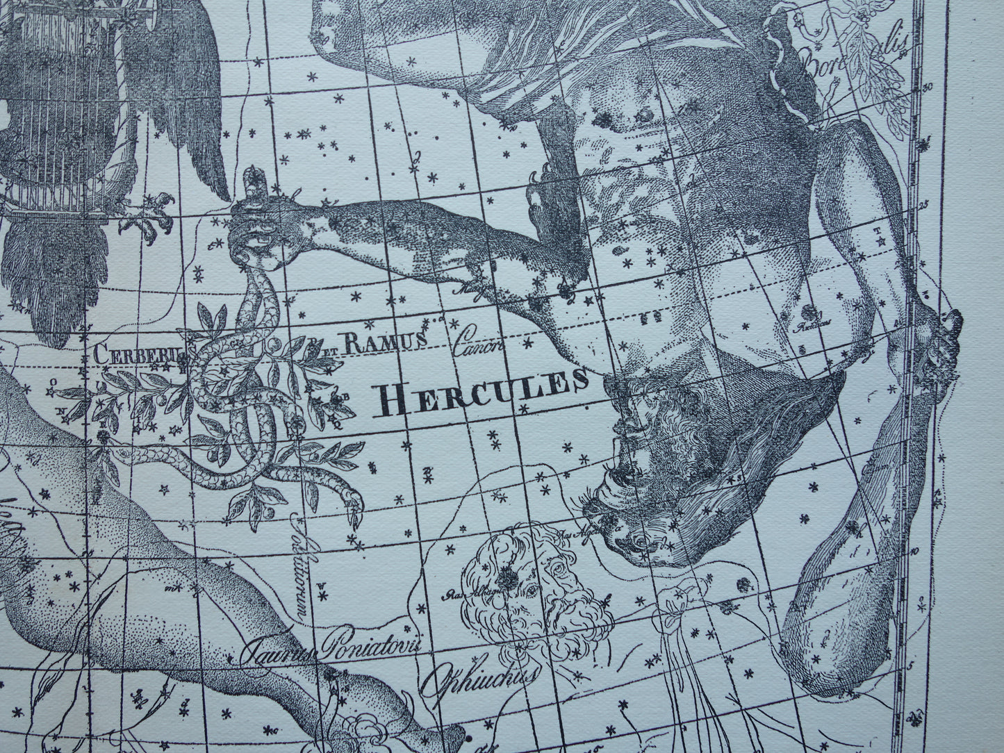 Oude astronomie prent van sterrenbeelden Hercules Cygnus en Vultur Lyra Antieke sterrenkaart astrologie sterrenbeeld vintage print