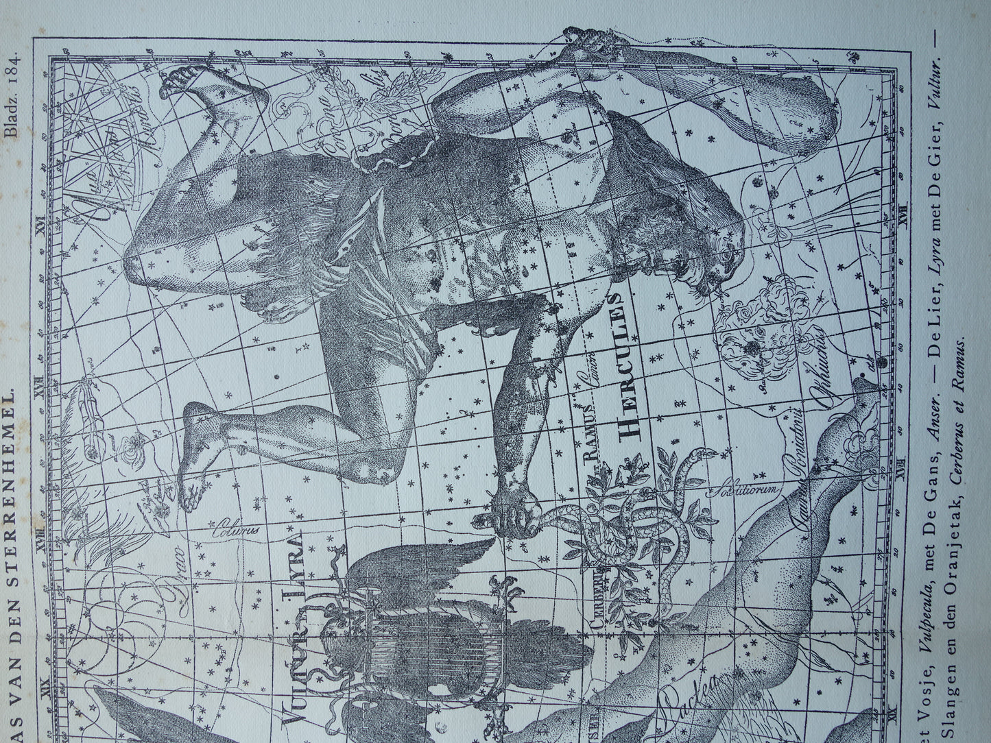 Oude astronomie prent van sterrenbeelden Hercules Cygnus en Vultur Lyra Antieke sterrenkaart astrologie sterrenbeeld vintage print