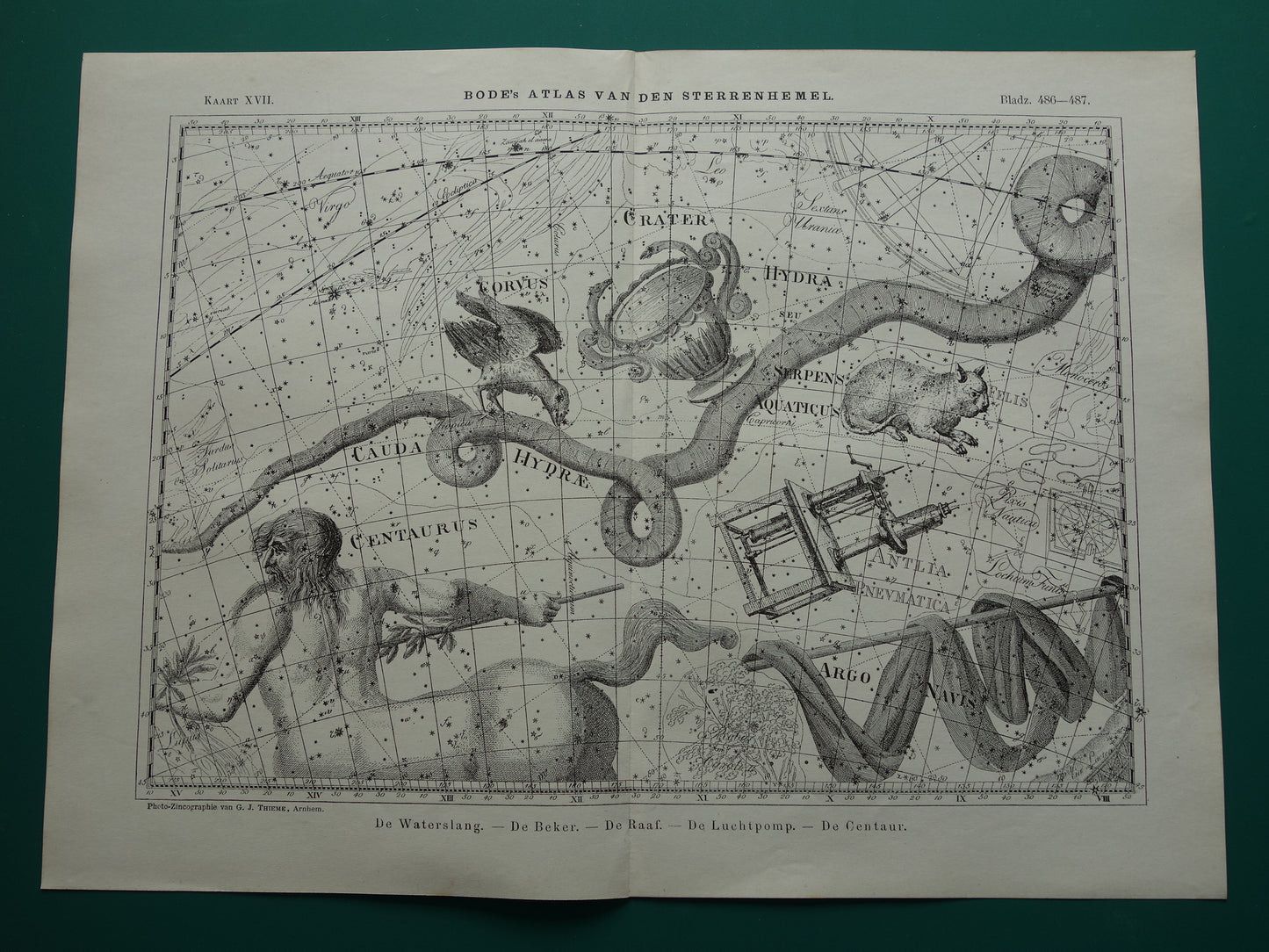 Oude astrologie prent van sterrenbeelden Centaur Raaf Kat Antieke sterrenkaart sterrenbeeld Waterslang Hydra Centaurus Felis vintage asronomie print