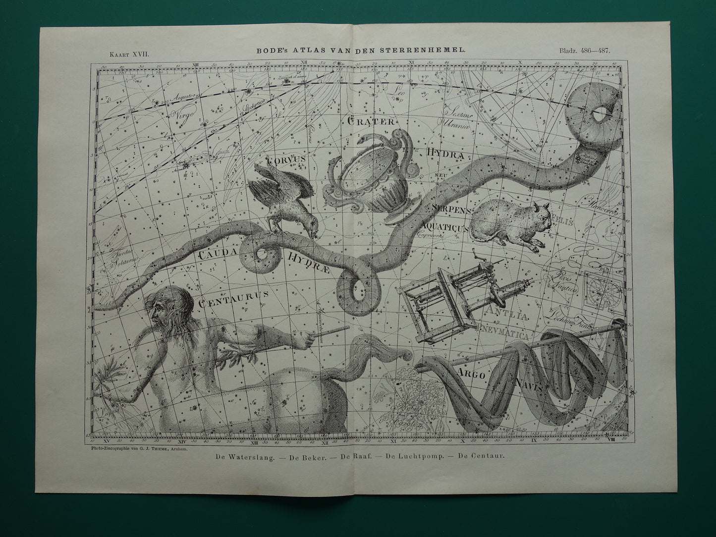 Alter Astrologiedruck von Sternbildern Zentaur Rabe Katze Antike Sternenkarte Sternbild Wasserschlange Hydra Centaurus Felis Vintage-Astronomiedruck