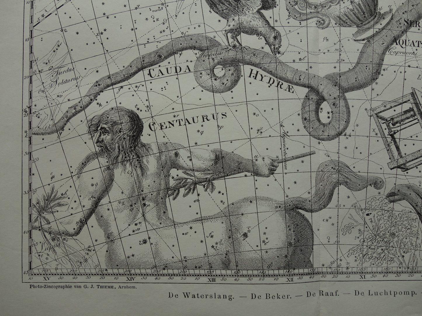 Alter Astrologiedruck von Sternbildern Zentaur Rabe Katze Antike Sternenkarte Sternbild Wasserschlange Hydra Centaurus Felis Vintage-Astronomiedruck