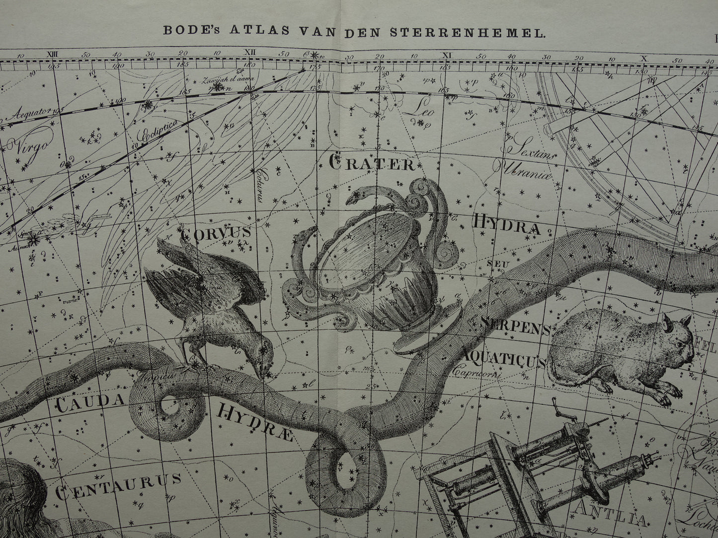 Alter Astrologiedruck von Sternbildern Zentaur Rabe Katze Antike Sternenkarte Sternbild Wasserschlange Hydra Centaurus Felis Vintage-Astronomiedruck