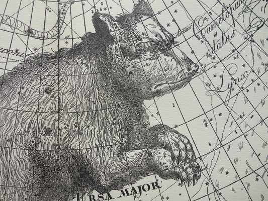 GROTE BEER Oude astronomie prent van sterrenbeeld Ursa Major Antieke sterrenkaart sterrenbeelden vintage print