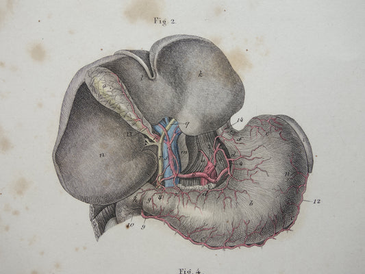 cadeau voor een arts