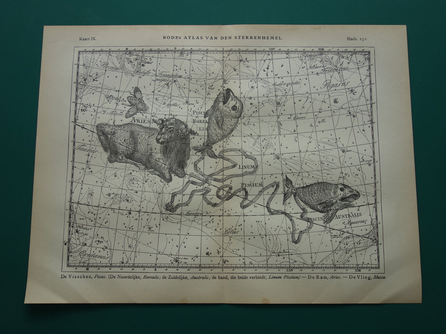 Vissen & Ram Sterrenbeeld Oude astrologie prent Antieke sterrenkaart astronomie sterrenbeelden vintage print