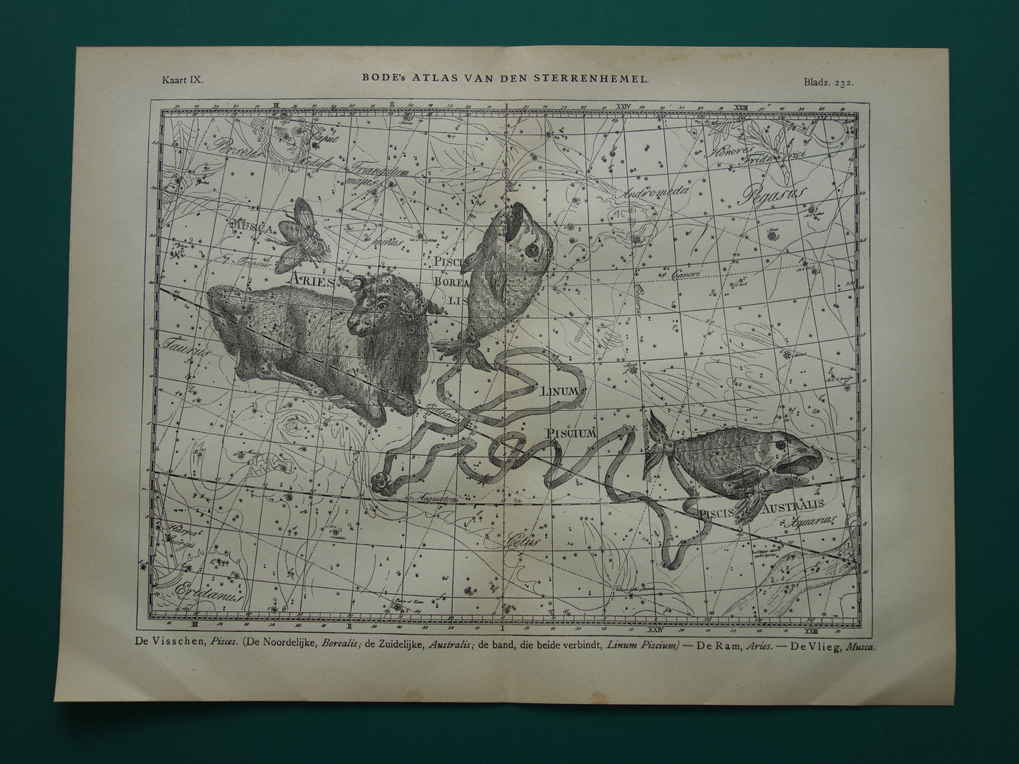 Vissen & Ram Sterrenbeeld Oude astrologie prent Antieke sterrenkaart astronomie sterrenbeelden vintage print