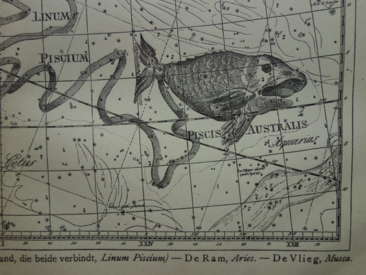 Vissen & Ram Sterrenbeeld Oude astrologie prent Antieke sterrenkaart astronomie sterrenbeelden vintage print