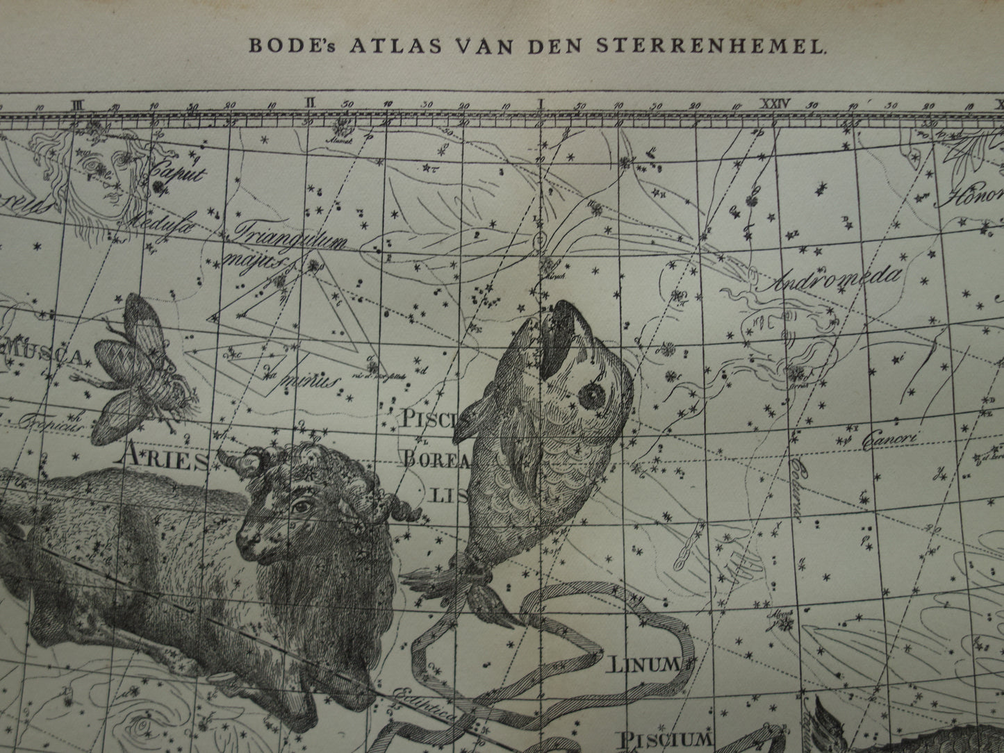 Vissen & Ram Sterrenbeeld Oude astrologie prent Antieke sterrenkaart astronomie sterrenbeelden vintage print