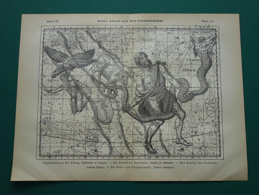 Sterrenbeeld Ophiuchus Slangendrager Taurus Stier vintage illustratie - Antieke sterrenkaart Sterrenbeelden - Oude prent Aquila Arend en Antinous astronomie astrologie print