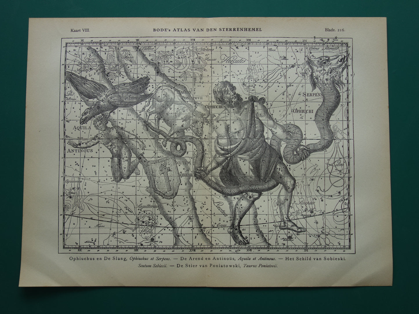 Sterrenbeeld Ophiuchus Slangendrager Taurus Stier vintage illustratie - Antieke sterrenkaart Sterrenbeelden - Oude prent Aquila Arend en Antinous astronomie astrologie print