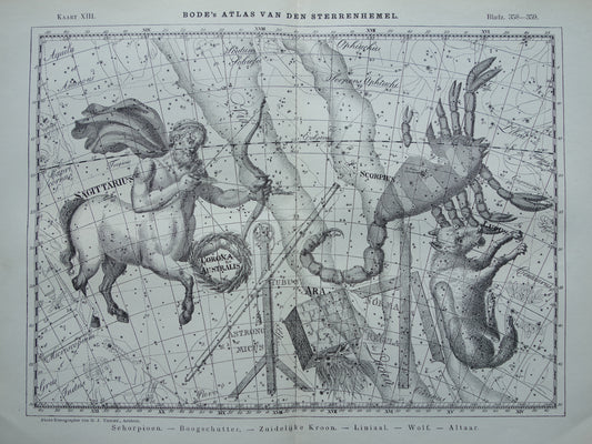 Oude astrologie prent van sterrenbeeld Schorpioen en Boogschutter Antieke sterrenkaart astronomie horoscoop vintage print