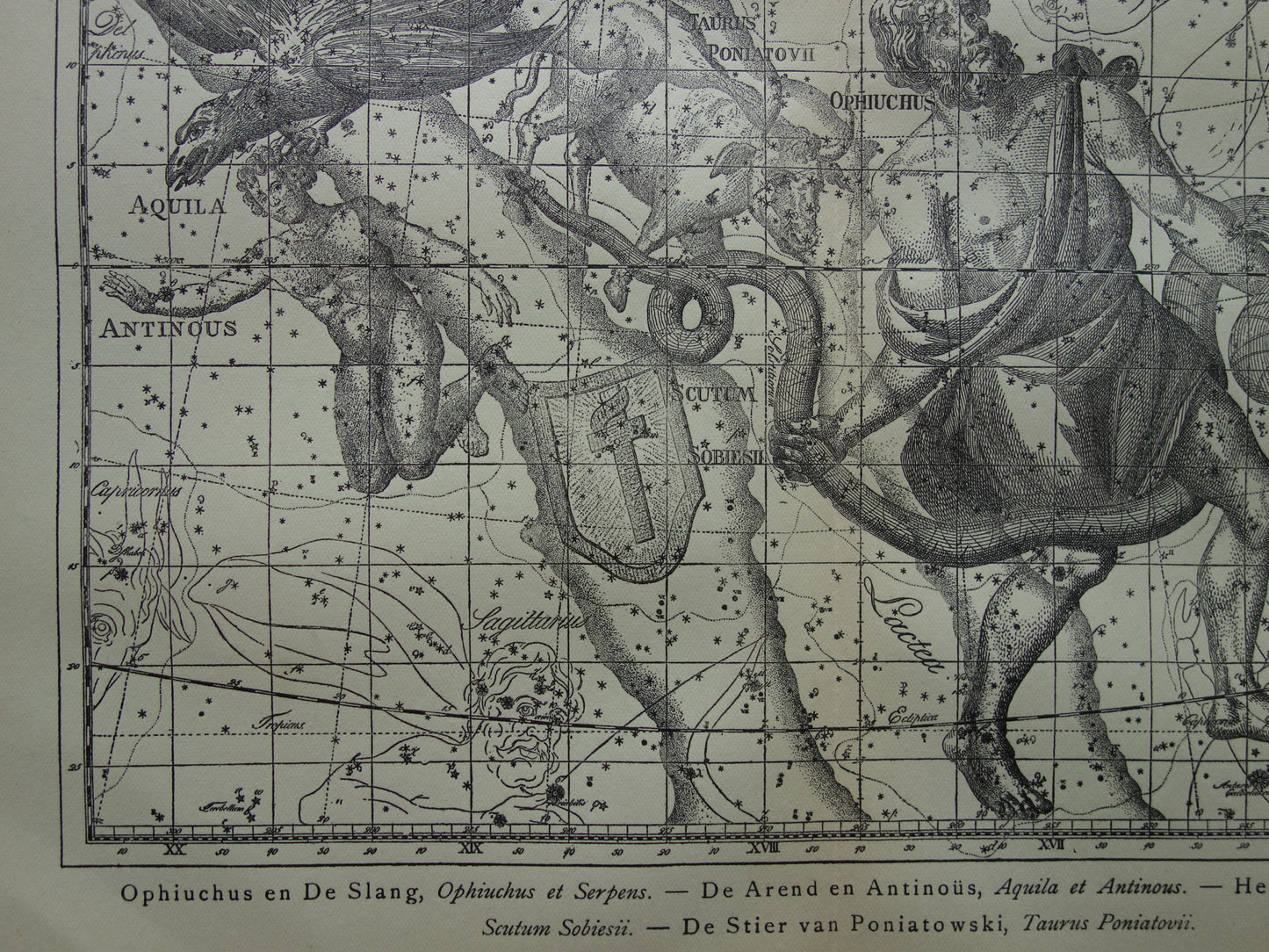 Sterrenbeeld Ophiuchus Slangendrager Taurus Stier vintage illustratie - Antieke sterrenkaart Sterrenbeelden - Oude prent Aquila Arend en Antinous astronomie astrologie print