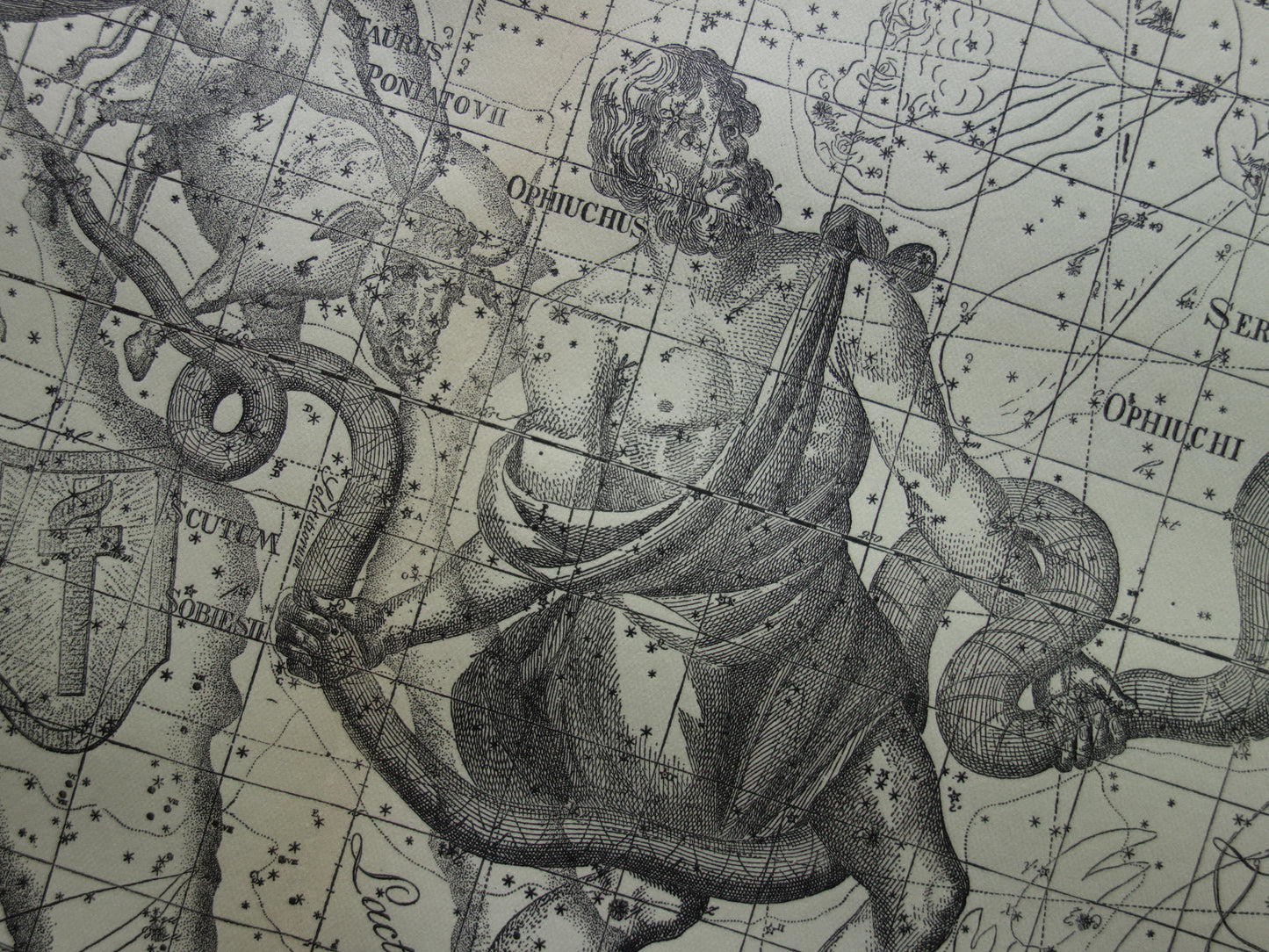 Sterrenbeeld Ophiuchus Slangendrager Taurus Stier vintage illustratie - Antieke sterrenkaart Sterrenbeelden - Oude prent Aquila Arend en Antinous astronomie astrologie print