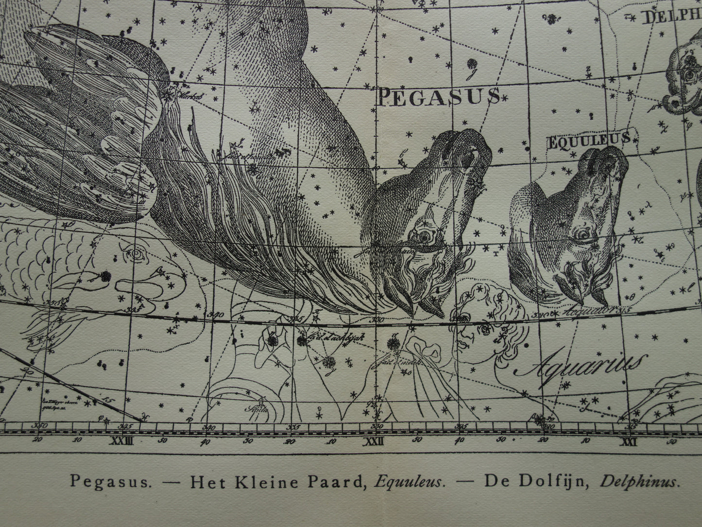 Antique ASTRONOMY print set of three 3 old star map prints - Vintage Pegasus Auriga Boötes astrology constellation prints northern sky