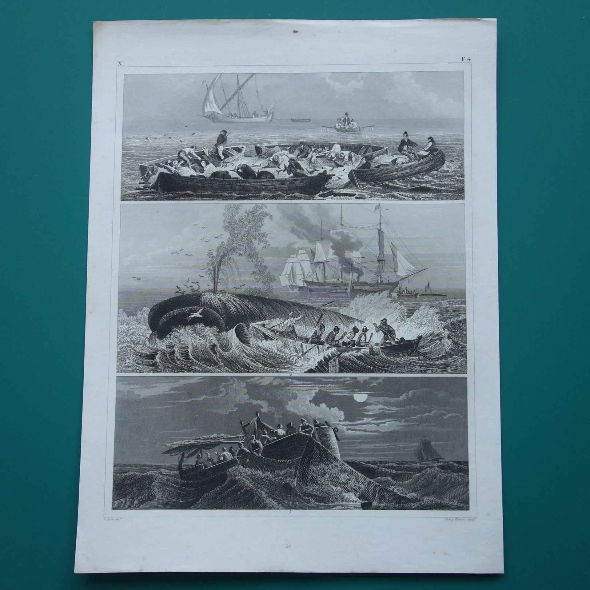 Antieke prent over visserij walvisjacht - originele 175+ jaar oude print vissers vissersboot zeevaart