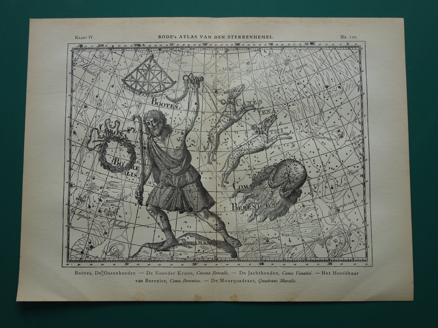 Antique ASTRONOMY print set of three 3 old star map prints - Vintage Pegasus Auriga Boötes astrology constellation prints northern sky