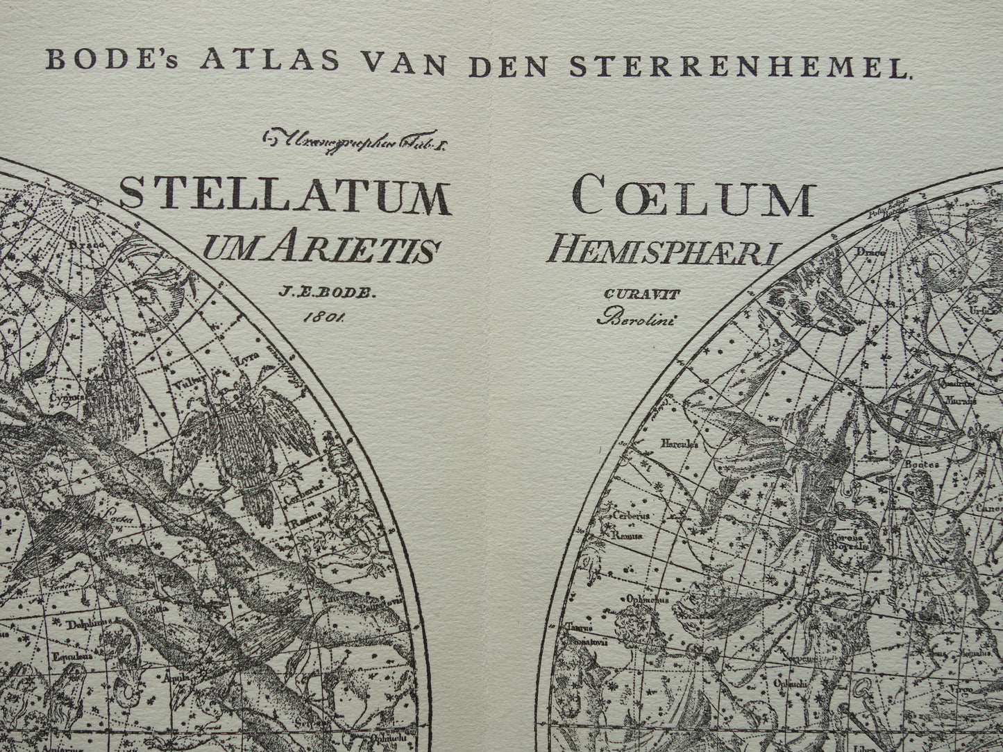 Antieke astronomie prent van de noordelijke en zuidelijke sterrenhemel 1923 originele vintage print sterrenbeelden oude astrologie print