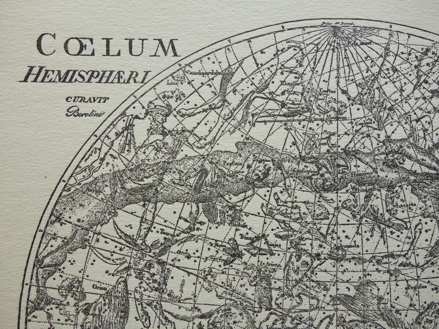 Antieke astronomie prent van de noordelijke en zuidelijke sterrenhemel 1923 originele vintage print sterrenbeelden oude astrologie print