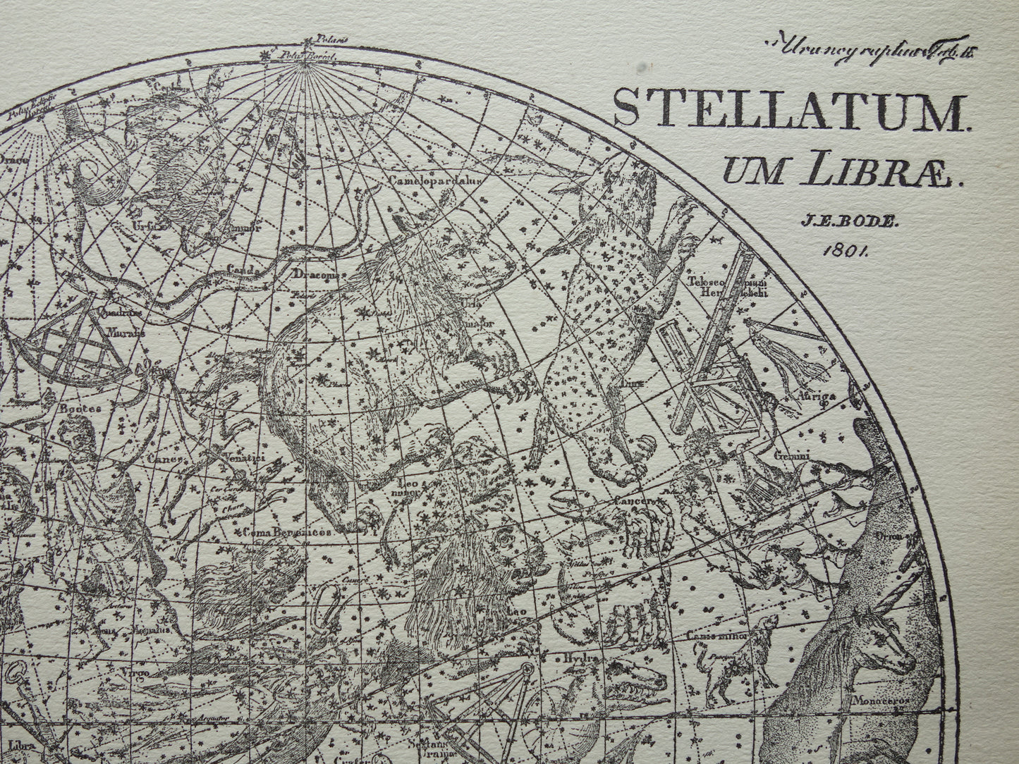 Antieke astronomie prent van de noordelijke en zuidelijke sterrenhemel 1923 originele vintage print sterrenbeelden oude astrologie print