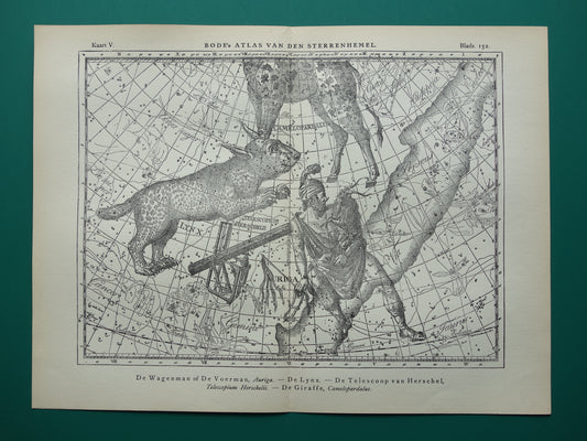 Oude astronomie prent van sterrenbeelden Giraffe Lynx Wagenman Antieke sterrenkaart sterrenbeeld Auriga Voerman vintage print