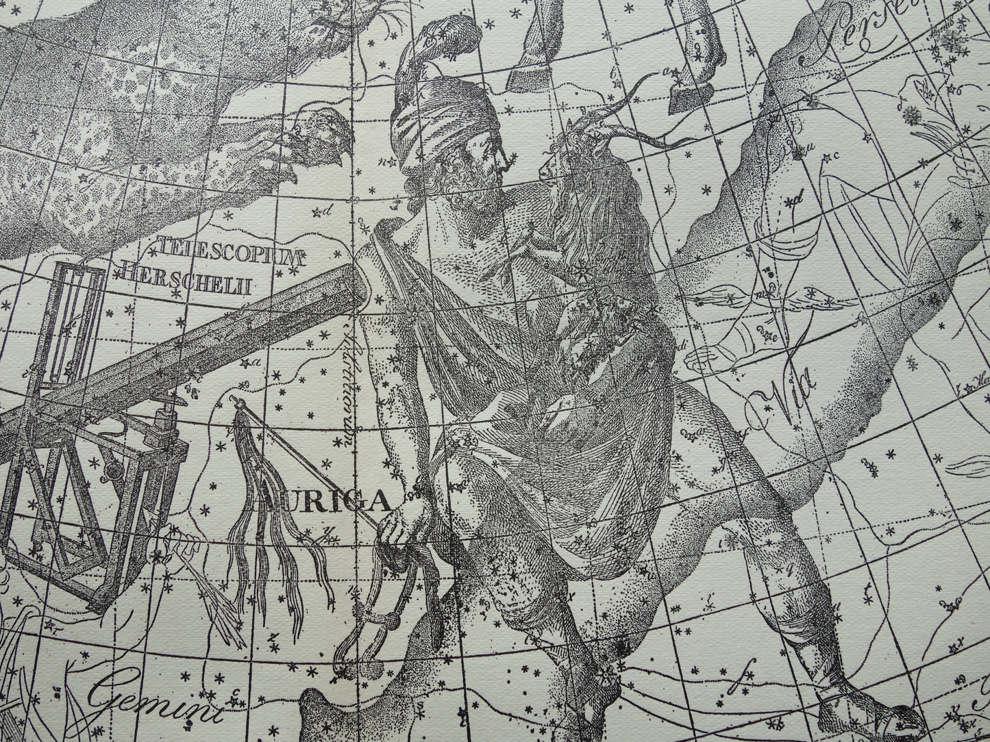 Oude astronomie prent van sterrenbeelden Giraffe Lynx Wagenman Antieke sterrenkaart sterrenbeeld Auriga Voerman vintage print