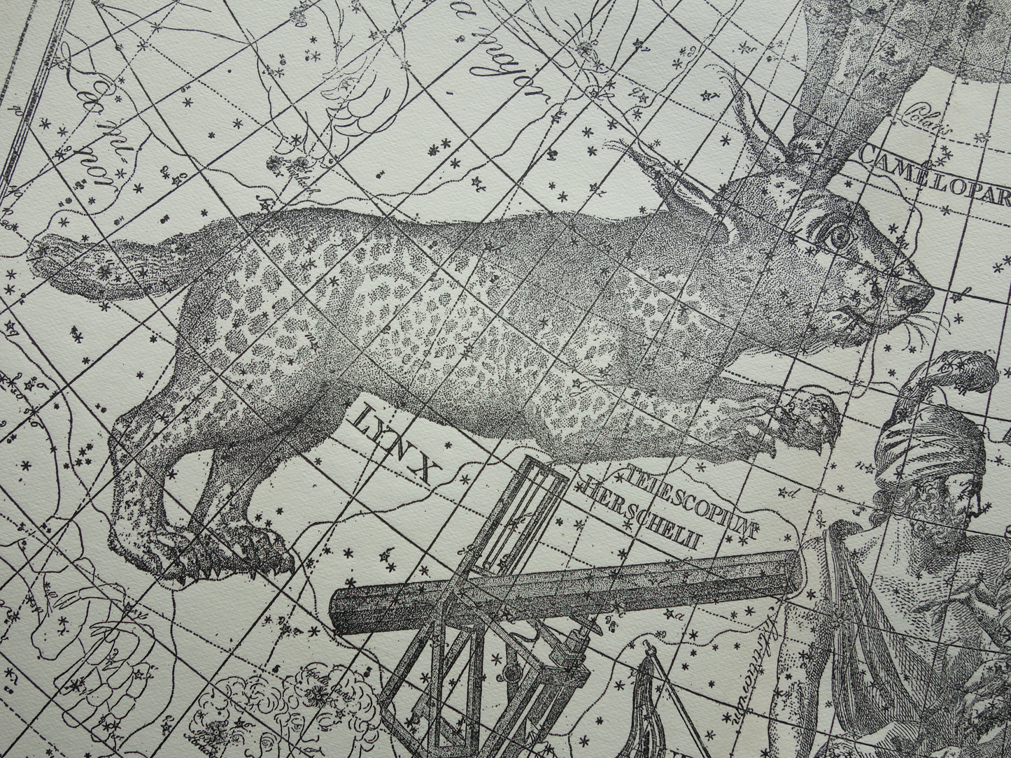 Oude astronomie prent van sterrenbeelden Giraffe Lynx Wagenman Antieke sterrenkaart sterrenbeeld Auriga Voerman vintage print