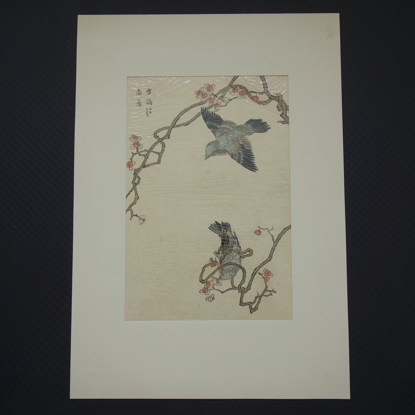 Oude Japanse prent van Kono Bairei met vogels Originele vintage houtsnede / boekblad ukiyo-e vogel