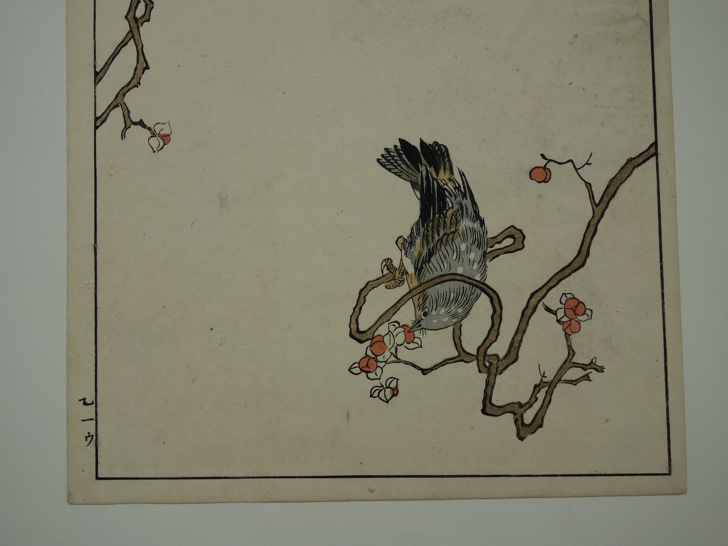 Oude Japanse prent van Kono Bairei met vogels Originele vintage houtsnede / boekblad ukiyo-e vogel