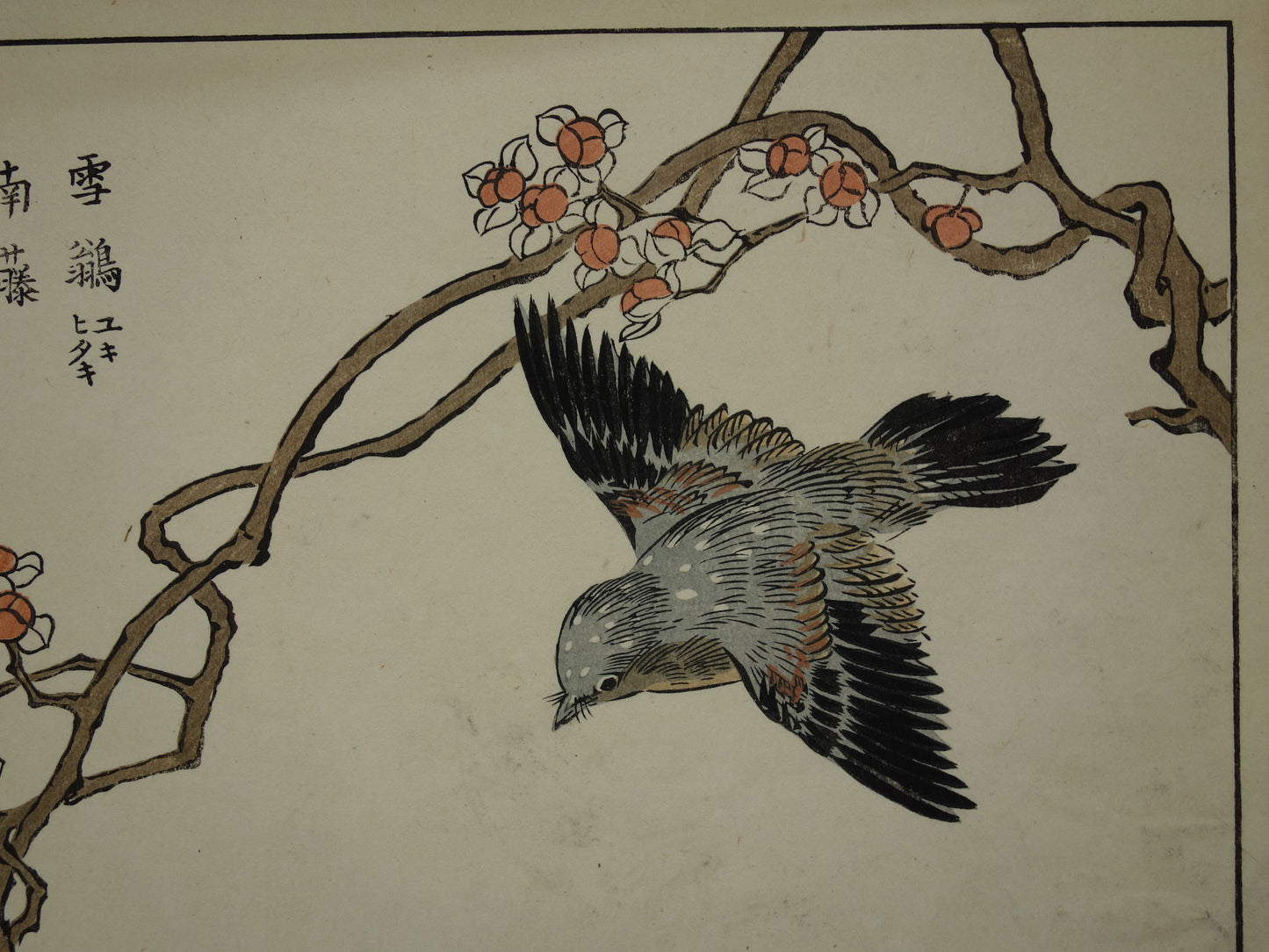 Oude Japanse prent van Kono Bairei met vogels Originele vintage houtsnede / boekblad ukiyo-e vogel