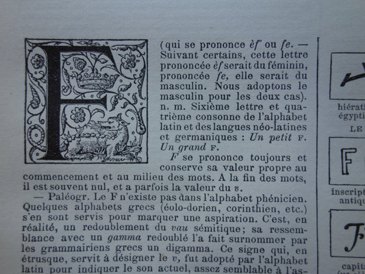 Antieke kalligrafie prent van een willekeurige letter, origineel uit 1902, oude afbeelding karakter alfabet lettertype initiaal vintage prints monogram illustratie