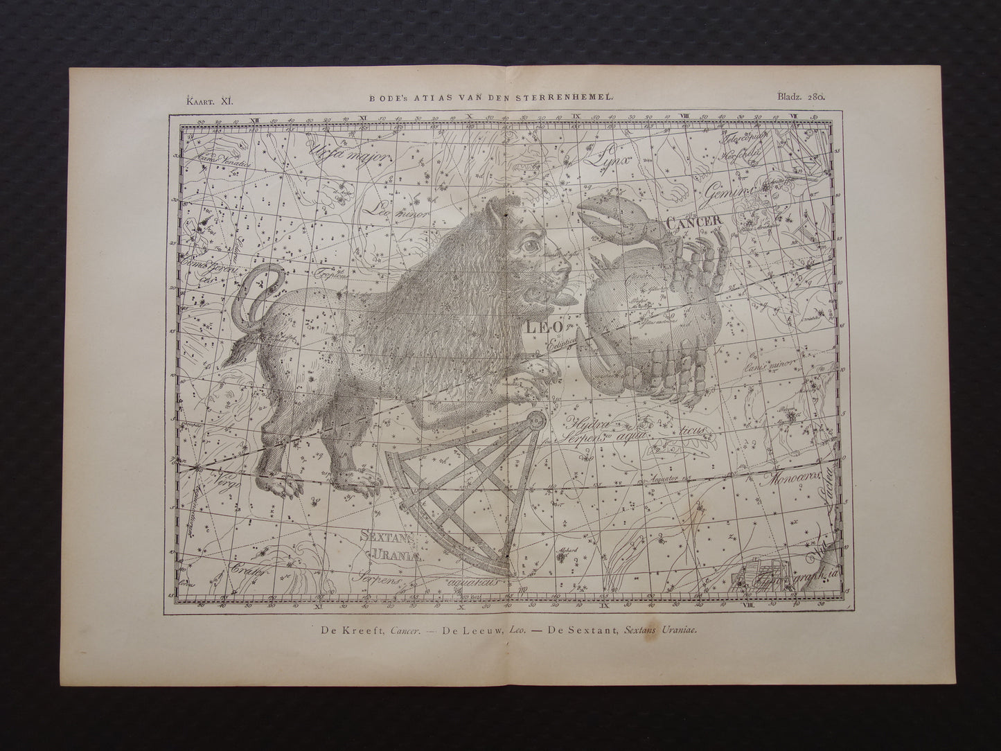 Leeuw en Kreeft Oude astrologie prent van sterrenbeeld Antieke sterrenkaart astronomie - Sterrenbeelden vintage print