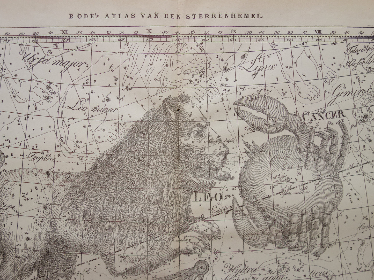 Leeuw en Kreeft Oude astrologie prent van sterrenbeeld Antieke sterrenkaart astronomie - Sterrenbeelden vintage print