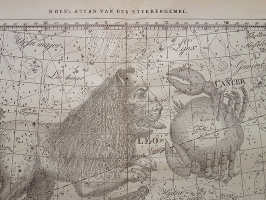 Leeuw en Kreeft Oude astrologie prent van sterrenbeeld Antieke sterrenkaart astronomie - Sterrenbeelden vintage print
