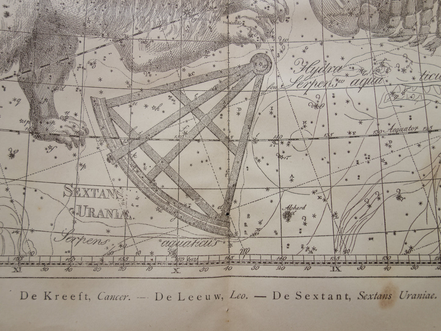Leeuw en Kreeft Oude astrologie prent van sterrenbeeld Antieke sterrenkaart astronomie - Sterrenbeelden vintage print