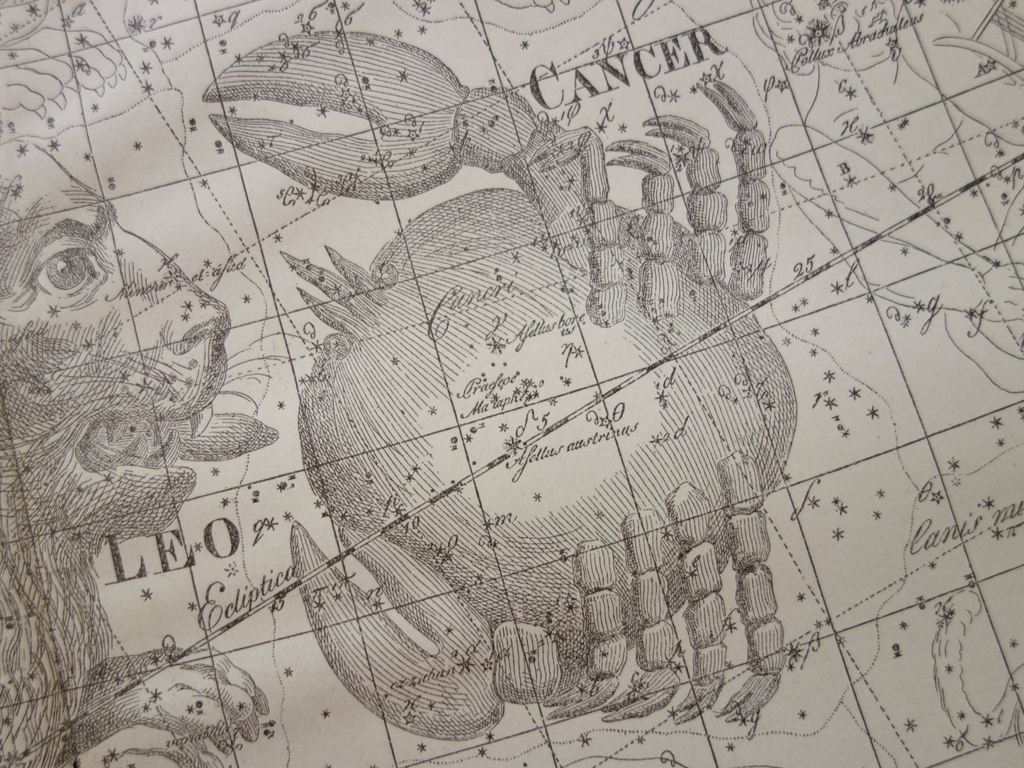  kreeft sterrenbeeld illustratie 