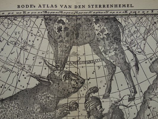 Alter Astrologiedruck des Sternzeichens Skorpion und Schütze Antiker Sternkartenastronomie-Konstellationsweinlesedruck