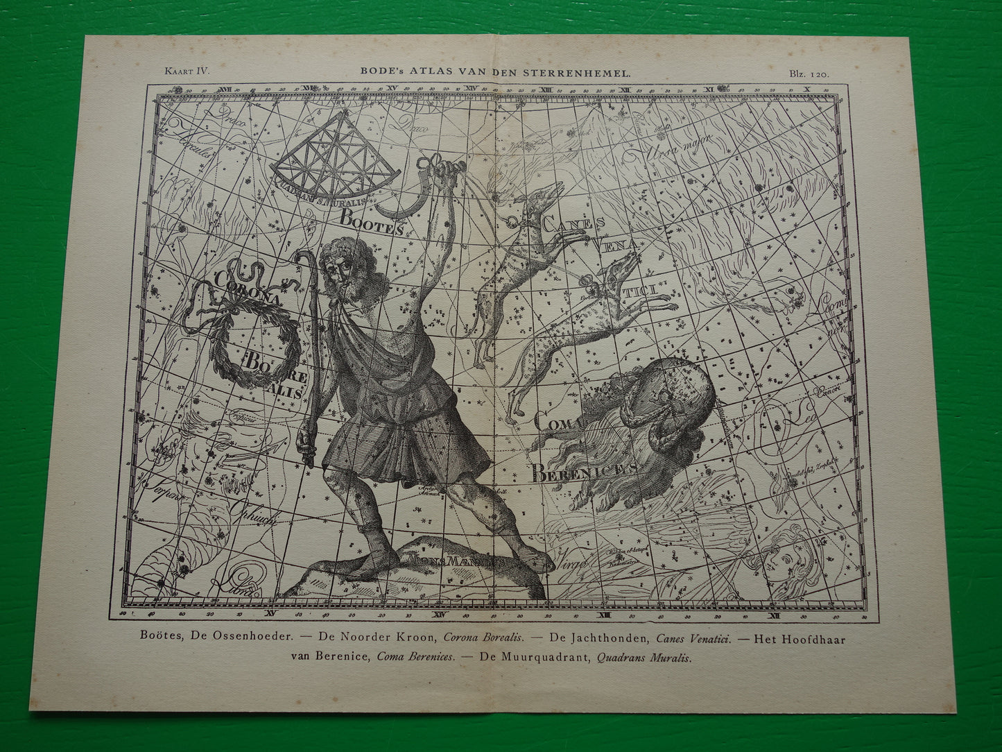 Boötes Ossenhoeder Oude astronomie prent van sterrenbeeld Jachthonden Noorderkroon Antieke sterrenkaart sterrenbeelden vintage print