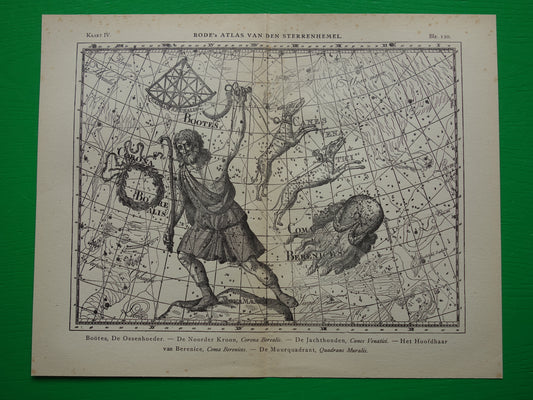 Boötes Ossenhoeder Oude astronomie prent van sterrenbeeld Jachthonden Noorderkroon Antieke sterrenkaart sterrenbeelden vintage print