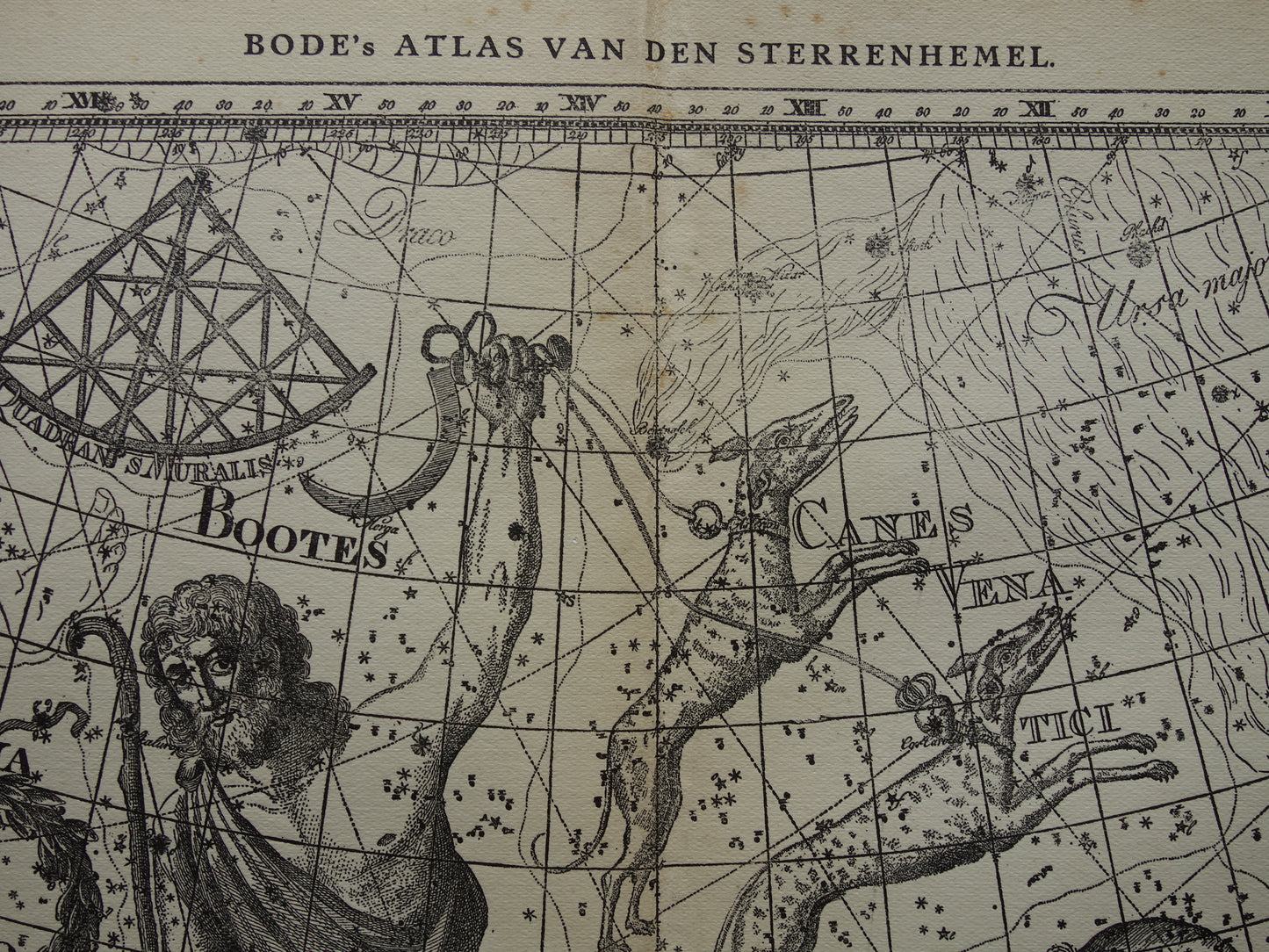 Boötes Ossenhoeder Oude astronomie prent van sterrenbeeld Jachthonden Noorderkroon Antieke sterrenkaart sterrenbeelden vintage print