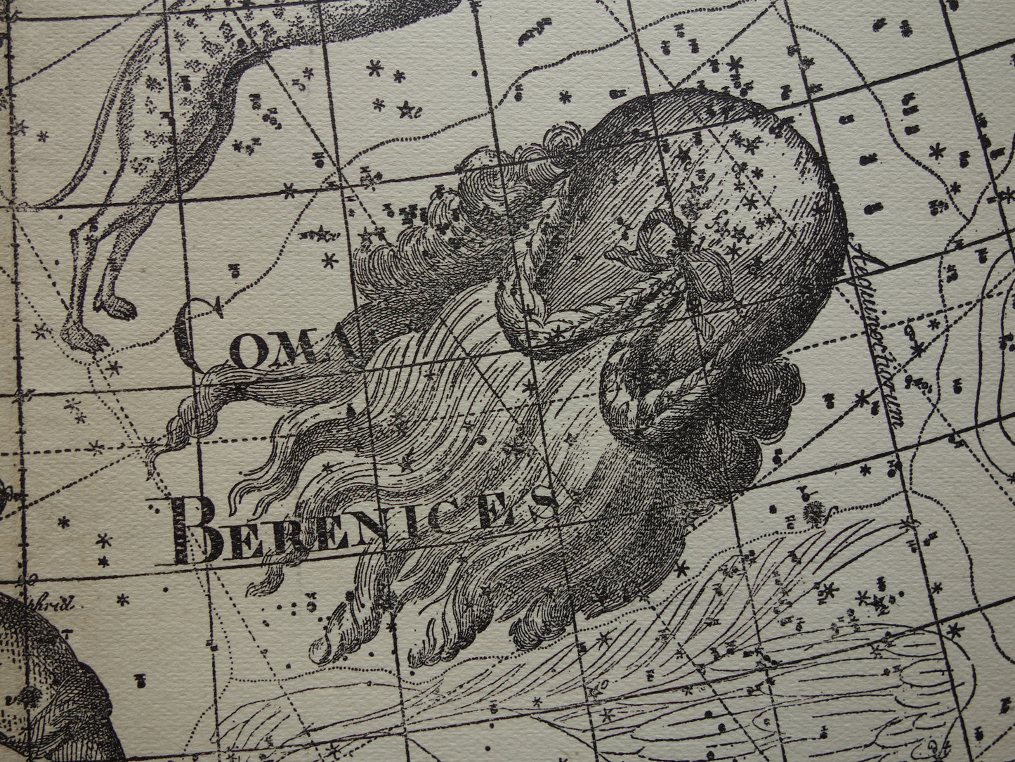 Boötes Ossenhoeder Oude astronomie prent van sterrenbeeld Jachthonden Noorderkroon Antieke sterrenkaart sterrenbeelden vintage print