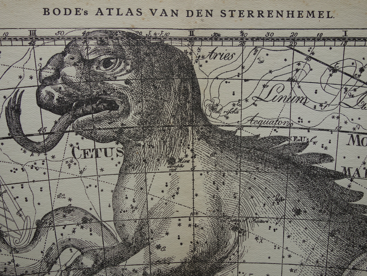 Oude astronomie prent van sterrenbeeld Eridanus Cetus Walvis Antieke sterrenkaart Monstrum Marinum sterrenbeelden vintage print