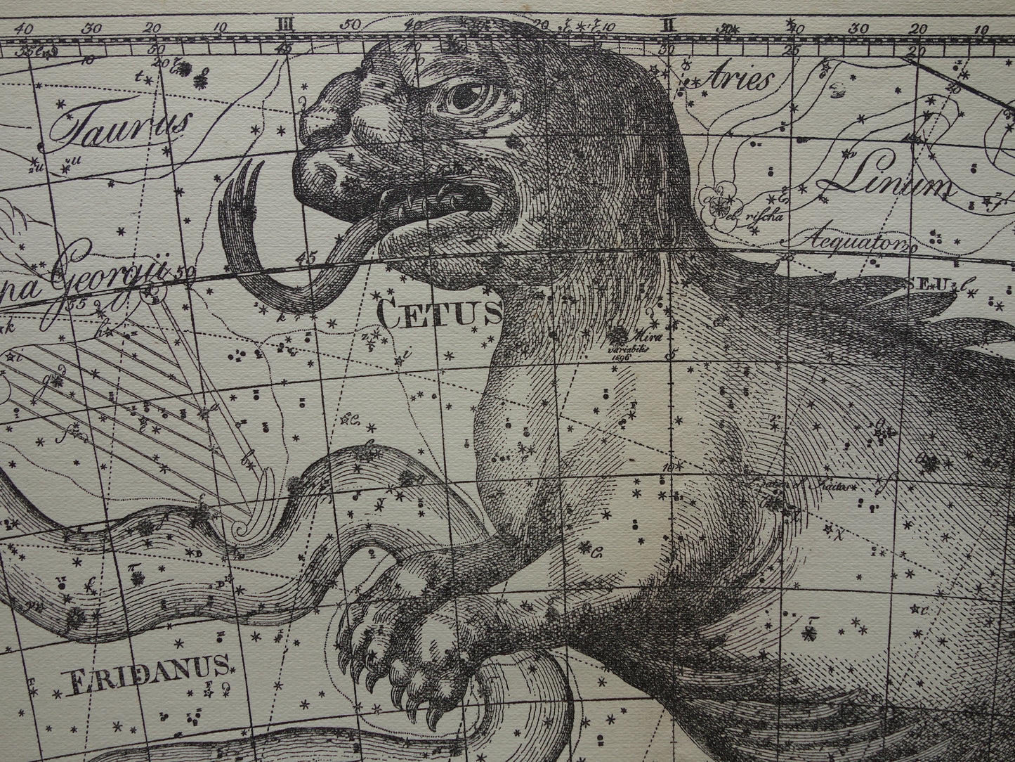 Oude astronomie prent van sterrenbeeld Eridanus Cetus Walvis Antieke sterrenkaart Monstrum Marinum sterrenbeelden vintage print