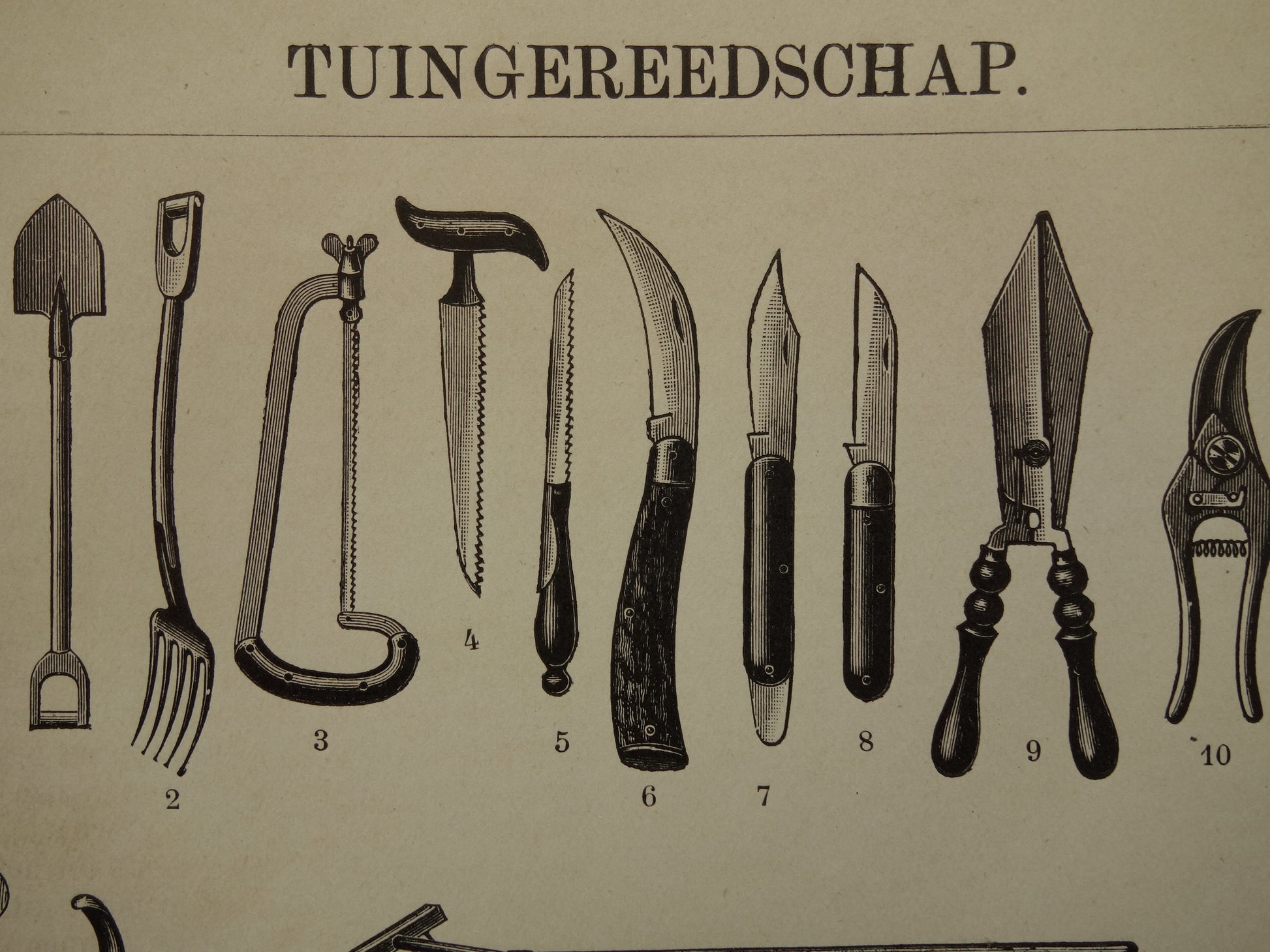 TUINGEREEDSCHAP Antieke Prent 1911 originele oude Nederlandse print Tuinieren Vintage illustratie